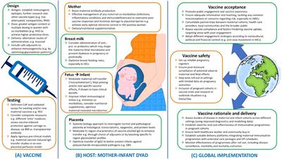 Maternal Immunization: Nature Meets Nurture